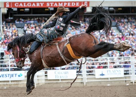 stampede tents 2022  Admission is just $11 for everyone